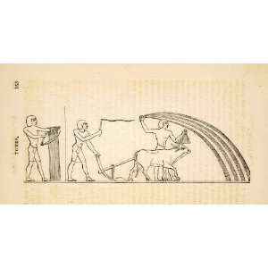  1836 Wood Engraving Egyptian Farmers Ox Plow Seed Thresh Wheat 